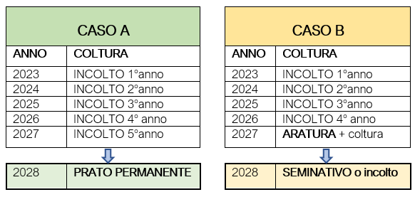 casi condizionalità rafforzata pac